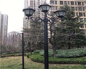 湖北太陽能路燈案例-西安白樺林間