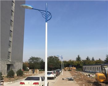 湖北市電路燈-湖北省西安市西北大學(xué)長(zhǎng)安校區(qū)路燈工程