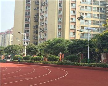 湖北學(xué)校路燈改造-湖北省西安高新一中路燈項(xiàng)目