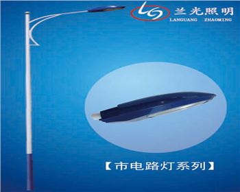 湖北8米市電路燈