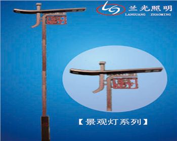 湖北雙頭市電景觀燈