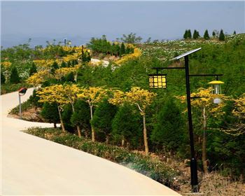 甘肅省隴南市文縣太陽能殺蟲燈項(xiàng)目