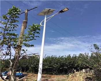 湖北西安藍田縣竹峪鎮(zhèn)新農(nóng)村太陽能路燈
