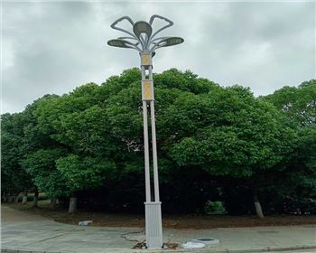 寧夏武漢市政景觀路燈項目